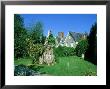 Remaining Stump From Gilbert Whites Famous Yew, Selborne Churchyard by David Tipling Limited Edition Print