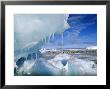 View Through An Icy Pressure Ridge Of Emperor Penguin Colony On Weddell Sea, Dawson Lambton Glacier by David Tipling Limited Edition Print