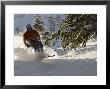 Man Skiing Off-Piste Between Trees At Solitude Mountain Resort, Utah, Usa by Mike Tittel Limited Edition Print