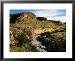 Scenery Of The Naukluft Mountains, Namibia by Ariadne Van Zandbergen Limited Edition Print