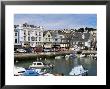 Boat Basin In The Town Centre, On River Dart, Dartmouth, Devon, England, United Kingdom by Brigitte Bott Limited Edition Print