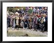 Ainu Festival, Marimo, Lake Akan, Hokkaido, Japan by Gavin Hellier Limited Edition Print