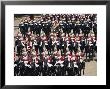 Horse Guards At Trooping The Colour, London, England, United Kingdom by Hans Peter Merten Limited Edition Print
