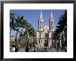 City Cathedral, Sao Paulo, Brazil, South America by Tony Waltham Limited Edition Print