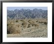 Southeast Area Of The Taklamakan Desert, Xinjiang, China by Occidor Ltd Limited Edition Print