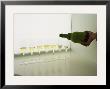 Wine Tasting Glasses, Maison De La Champagne by Per Karlsson Limited Edition Print