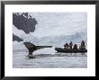 Visitors Get Close-Up View Of Humpback Whales In Cierva Cove, Gerlache Strait, Antarctic Peninsula by Hugh Rose Limited Edition Print