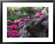 Flowers And Rocks In Traditional Chinese Garden, China by Keren Su Limited Edition Print