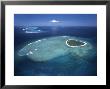 Aerial View Of Tropical Island, Tavarua Island, Fiji by Neil Farrin Limited Edition Print