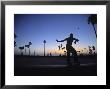 Venice Beach, Los Angeles, Usa by Neil Farrin Limited Edition Pricing Art Print