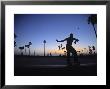 Venice Beach, Los Angeles, Usa by Neil Farrin Limited Edition Print