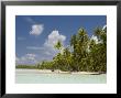 Blue Lagoon, Rangiroa, Tuamotu Archipelago, French Polynesia, Pacific Islands, Pacific by Sergio Pitamitz Limited Edition Pricing Art Print