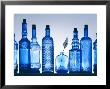 Blue Bottles by Luzia Ellert Limited Edition Pricing Art Print