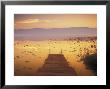 Inle Lake, Burma by Peter Adams Limited Edition Print