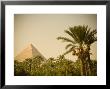 Pyramids At Giza, Cairo, Egypt by Doug Pearson Limited Edition Print