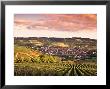 Irancy, Chablis, Burgundy, France by Doug Pearson Limited Edition Pricing Art Print