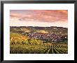 Irancy, Chablis, Burgundy, France by Doug Pearson Limited Edition Print