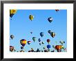 Hot Air Balloons At The Balloon Fiesta by Ray Laskowitz Limited Edition Print