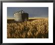 Wheat Field With Stormy Sky Above, Kansas by Brimberg & Coulson Limited Edition Pricing Art Print