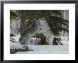 Couple Of Gray Wolves, Canis Lupus, Play In A Wintry Landscape by Jim And Jamie Dutcher Limited Edition Print