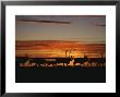 Silhouettes Of Barren Ground Caribou Migrating South For The Winter by Paul Nicklen Limited Edition Pricing Art Print