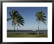 Palm Trees Frame A Lone Sailboat Off The Shore Of Florida by Klaus Nigge Limited Edition Print