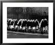 Young Nuns On Their Way To Mass by Alfred Eisenstaedt Limited Edition Print