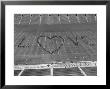 Overhead View Of Marching Band Maneuvers During Bands Of America by Alfred Eisenstaedt Limited Edition Print