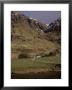 Glencoe, Highland Region, Scotland, United Kingdom by Charles Bowman Limited Edition Print