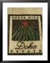 Coffee Bag From The Doka Estate, One Of The Main Coffee Growers In Costa Rica, Central America by R H Productions Limited Edition Print