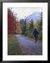Man Riding On Paved Trail, Franconia Notch, New Hampshire, Usa by John & Lisa Merrill Limited Edition Print