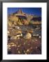 Cottonwood Leaves Along Sulphur Creek, The Castle, Capitol Reef National Park, Utah, Usa by Scott T. Smith Limited Edition Print