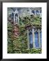 Halls Of Ivy, Oxford University, England by Bill Bachmann Limited Edition Print
