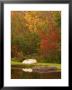 Boat At Pond In Rural New England, Maine, Usa by Joanne Wells Limited Edition Print