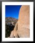 Mozogranite Boulder Formations Near The Jumbo Rocks Campground, Joshua Tree Np, California, Usa by Brent Winebrenner Limited Edition Print