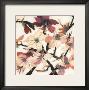 Magnolias Xx by Jenni Christensen Limited Edition Print