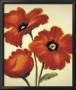 Orange Poppies by Paula Benson Limited Edition Pricing Art Print