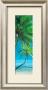 Palm Cove I by Peter Adams Limited Edition Print