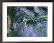 Le Lac D'annecy by Paul Cezanne Limited Edition Pricing Art Print