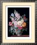 A Vase Of  Summer Flowers by Alexandre-Francois Desportes Limited Edition Print