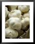 Organic Garlic Bulbs In Basket by Mark Bolton Limited Edition Print