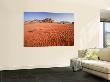 Desert Sands, Wadi Rum Desert And Jebel Qattar Mountain, Jordan by Michele Falzone Limited Edition Print