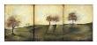 Autumnal Meadow Ii by Jennifer Goldberger Limited Edition Print