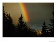 Rainbow From Evening Thunderstorm Over Mount Rundle by Raymond Gehman Limited Edition Print