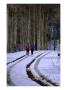 Women Jogging In A Wintery Park City, Park City, Utah, Usa by Cheyenne Rouse Limited Edition Print