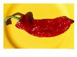 Red Pimento (Chilli Pepper), Spain by Oliver Strewe Limited Edition Print