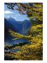 Autumn Foliage Scenic With River View, Berchtesgaden National Park by Norbert Rosing Limited Edition Print