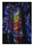 Rich Colors Projected From Stained Glass Windows Onto Pillars by Stephen St. John Limited Edition Print