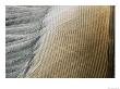 Golden Eagle Feather Pattern by Rich Reid Limited Edition Pricing Art Print
