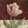 Postcard Tulip by Kelly Donovan Limited Edition Print